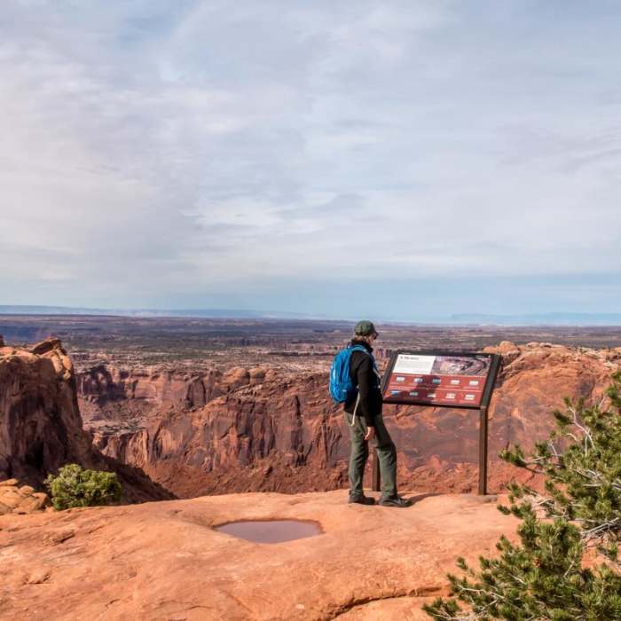 Near Upheaval Dome Overlook Trail