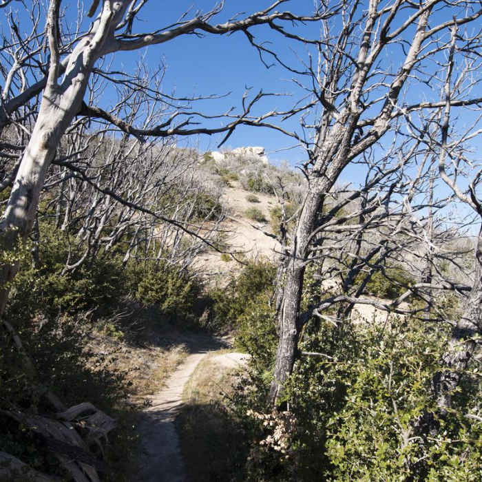 Near Three Points Ridge Hike