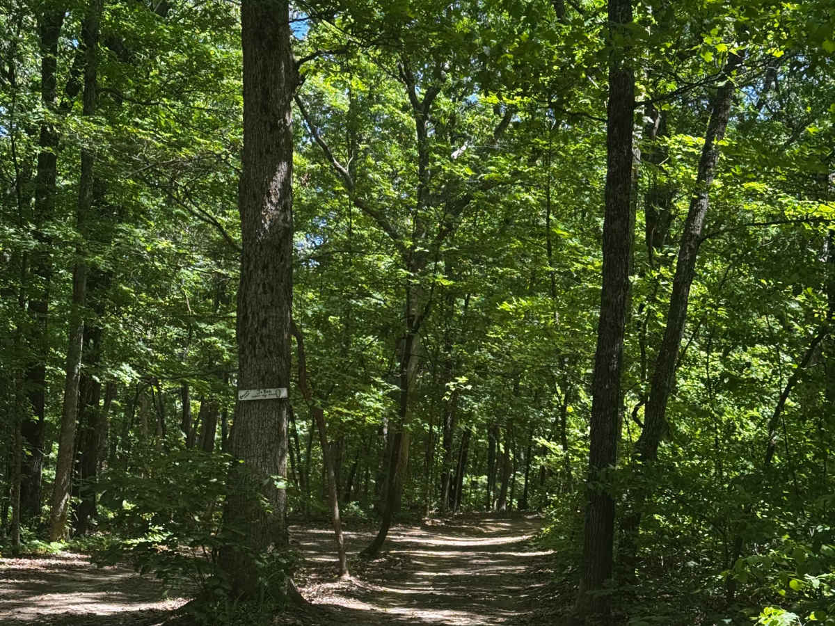 Jason's Crossing trail photo