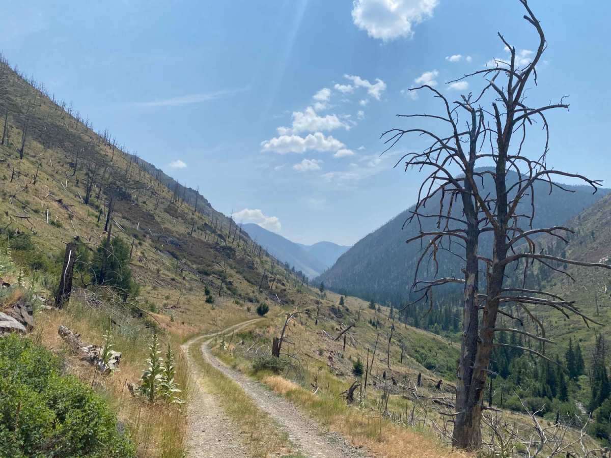 Sixmile Creek Road photo 5