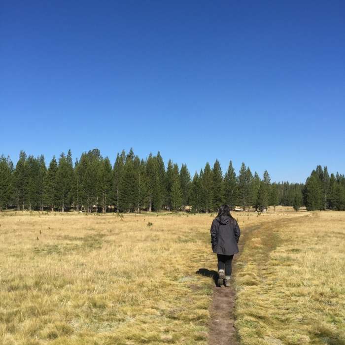 Near Dog Lake Trail