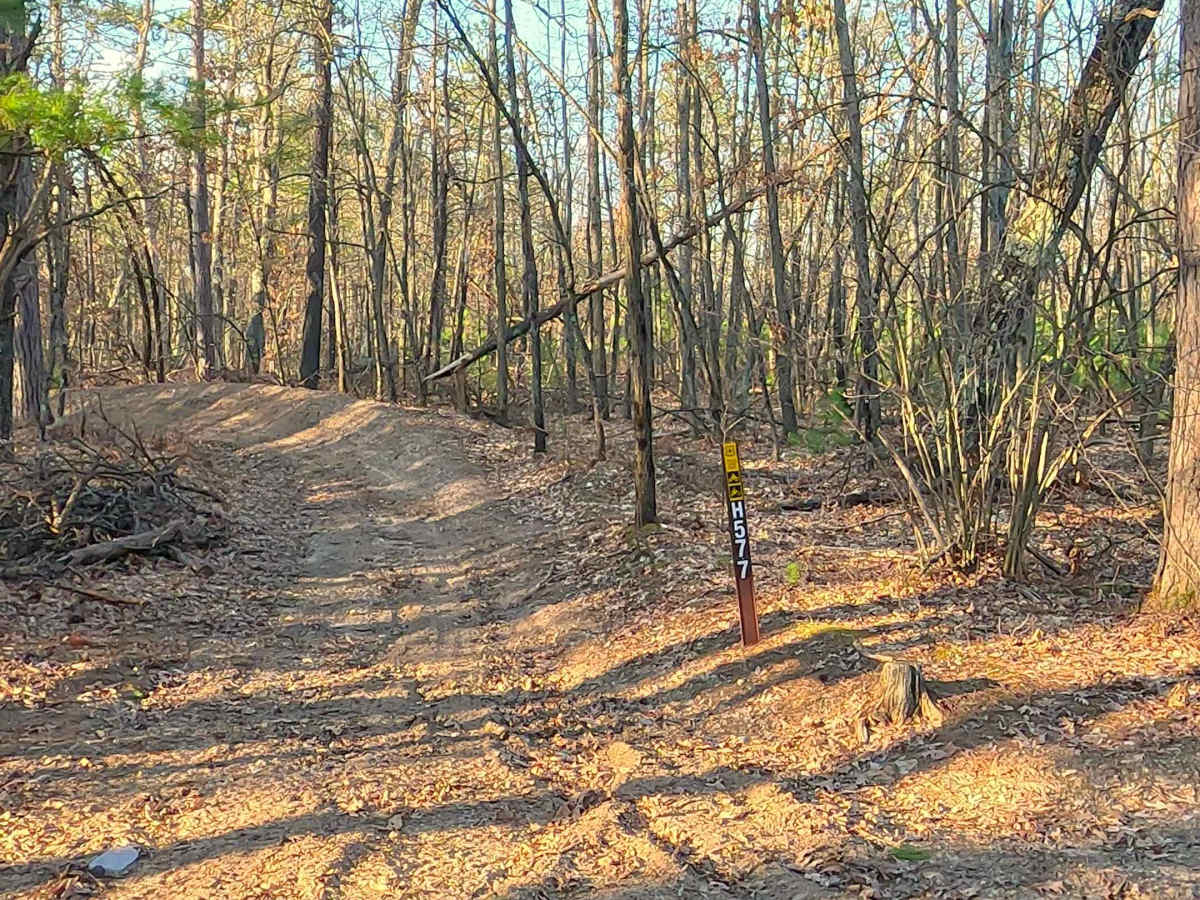 Mack Lake Loop Trail - ORV H-57 photo 6