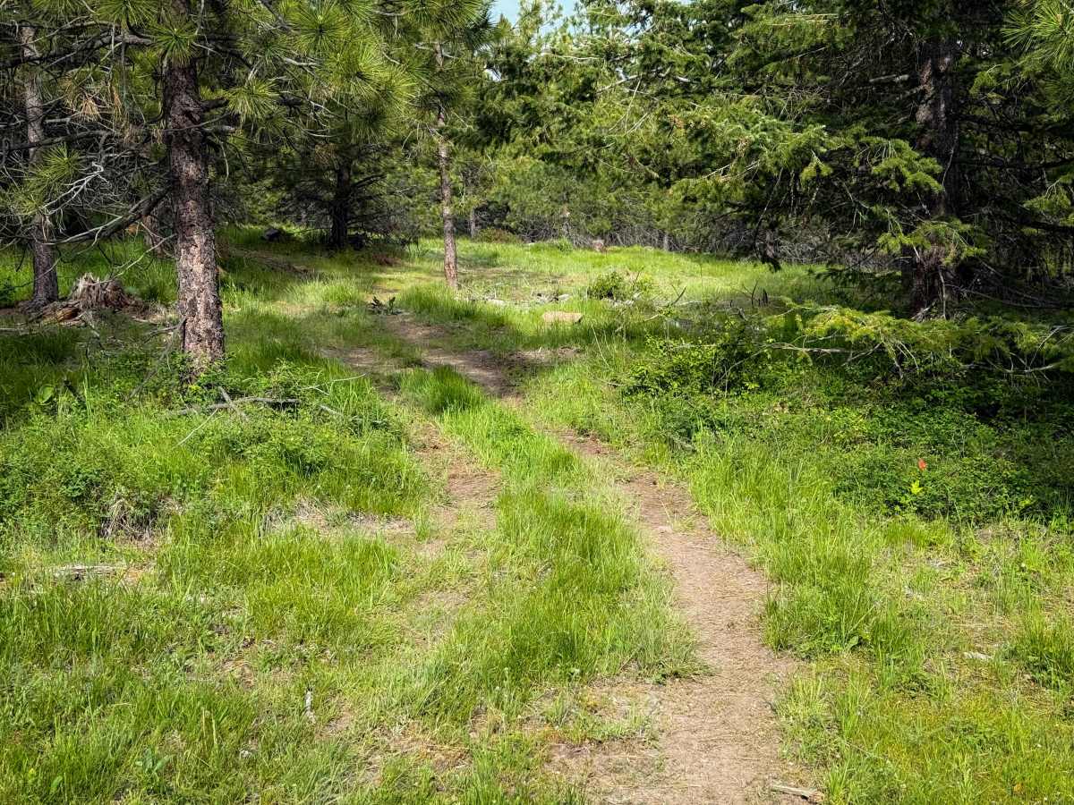 Round About - Trail 406 photo 4