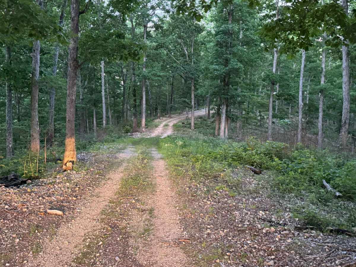 Glade 1112C photo 3