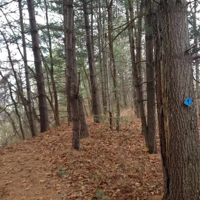 Near North Hills Trail (Eastern Portion)