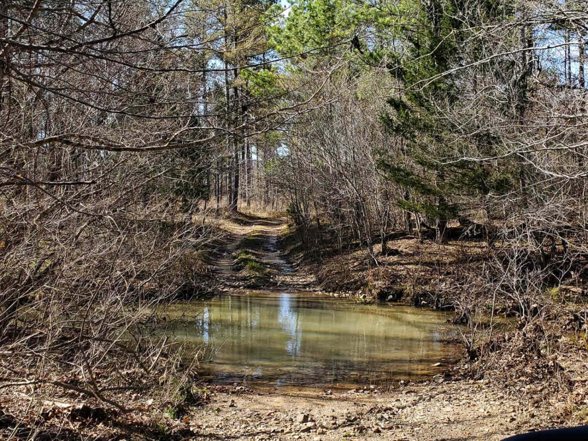 Ritter Road trail photo