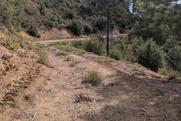 Crewcut Road - FS 4N04 