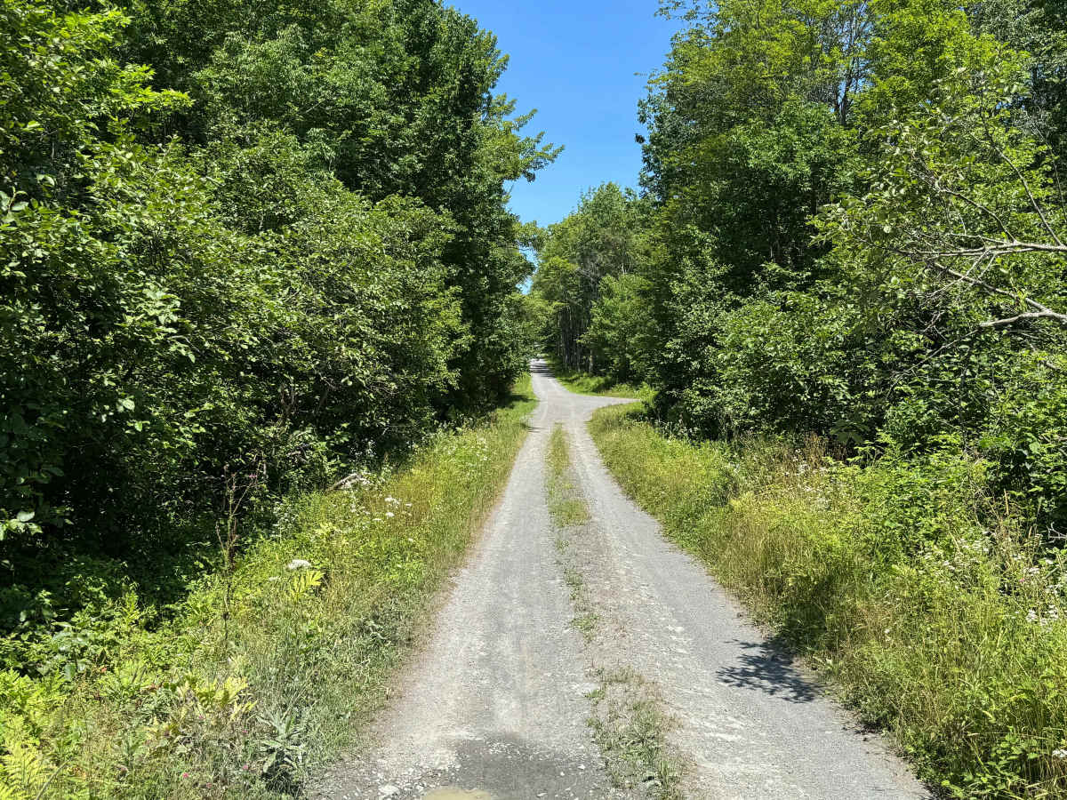 Burnt Hill Road photo 6