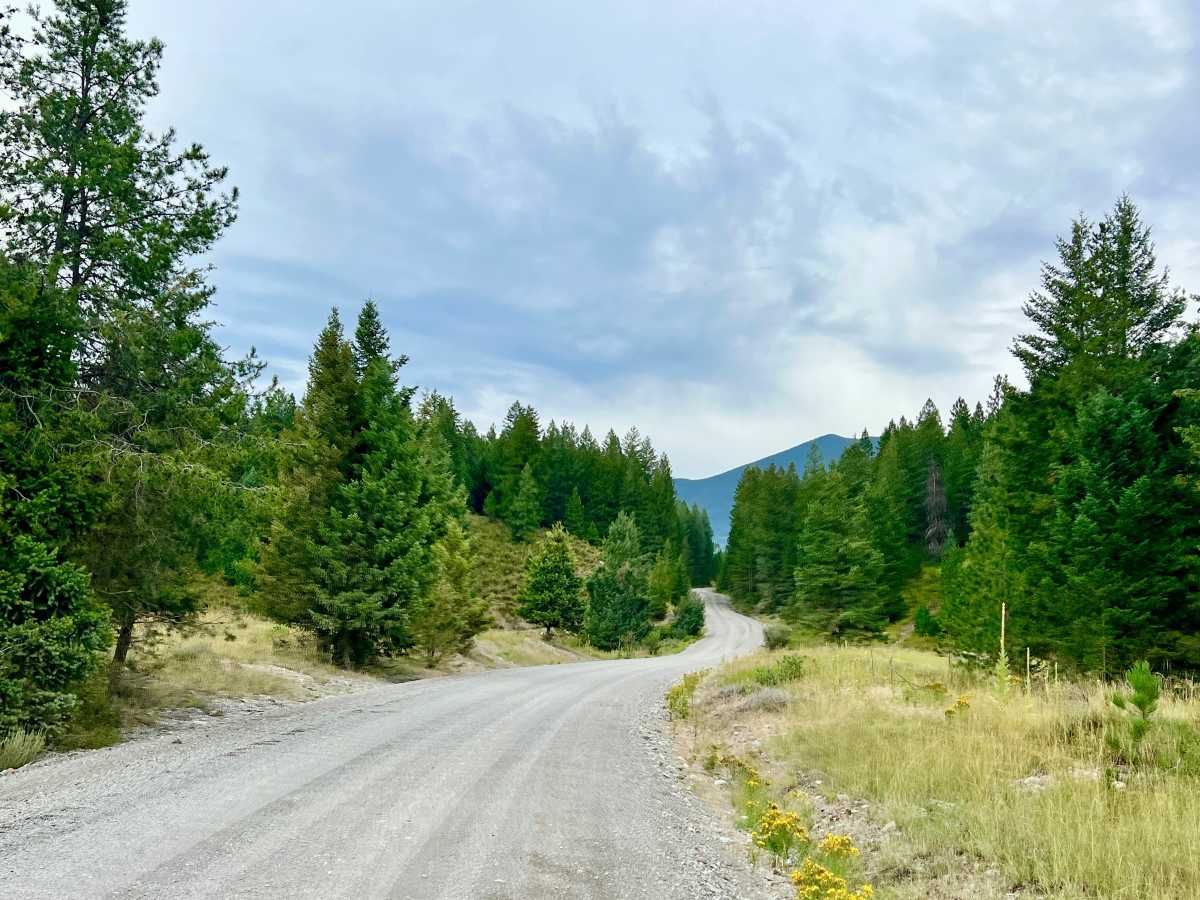 Dorr Cut-off Road photo 4
