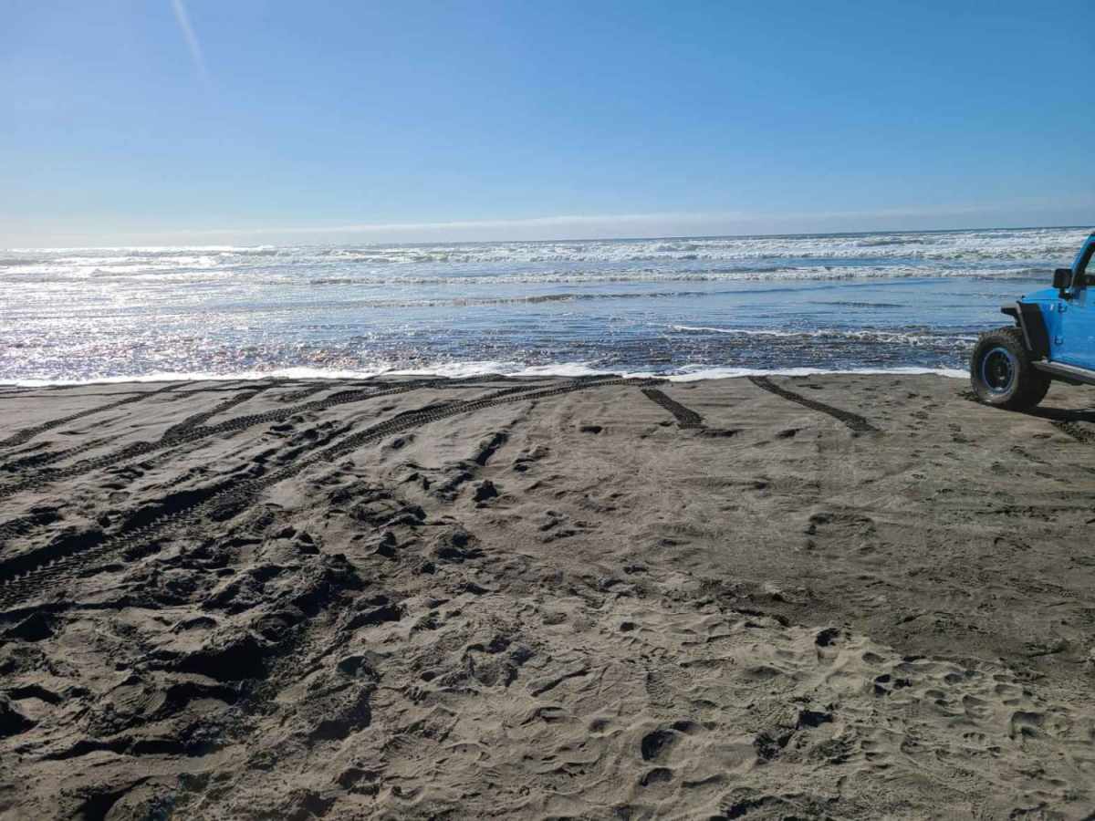 Delaura Dune Trail photo 5