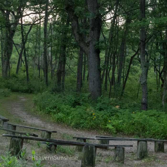 Classroom in the outdoors. Dune Ridge Trail - Indiana Dunes National Park Near Dune Ridge Trail
