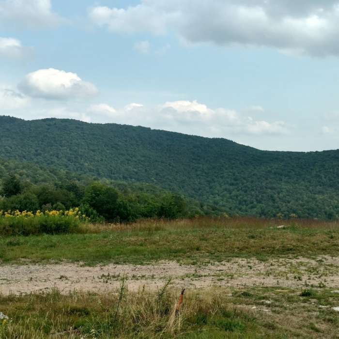 Looking at Black Cap from Cranmore Mountain (Backside) Near Cranmore Mountain Trail