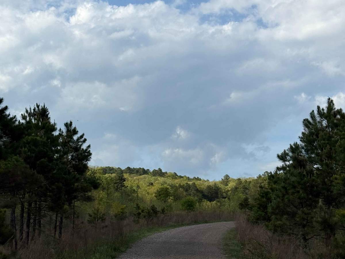 Piney War Trail photo 5