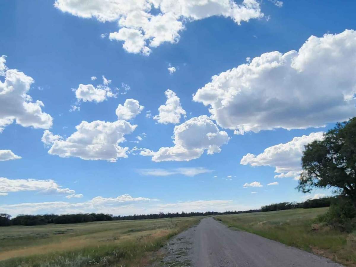 Flat Iron Road photo 2