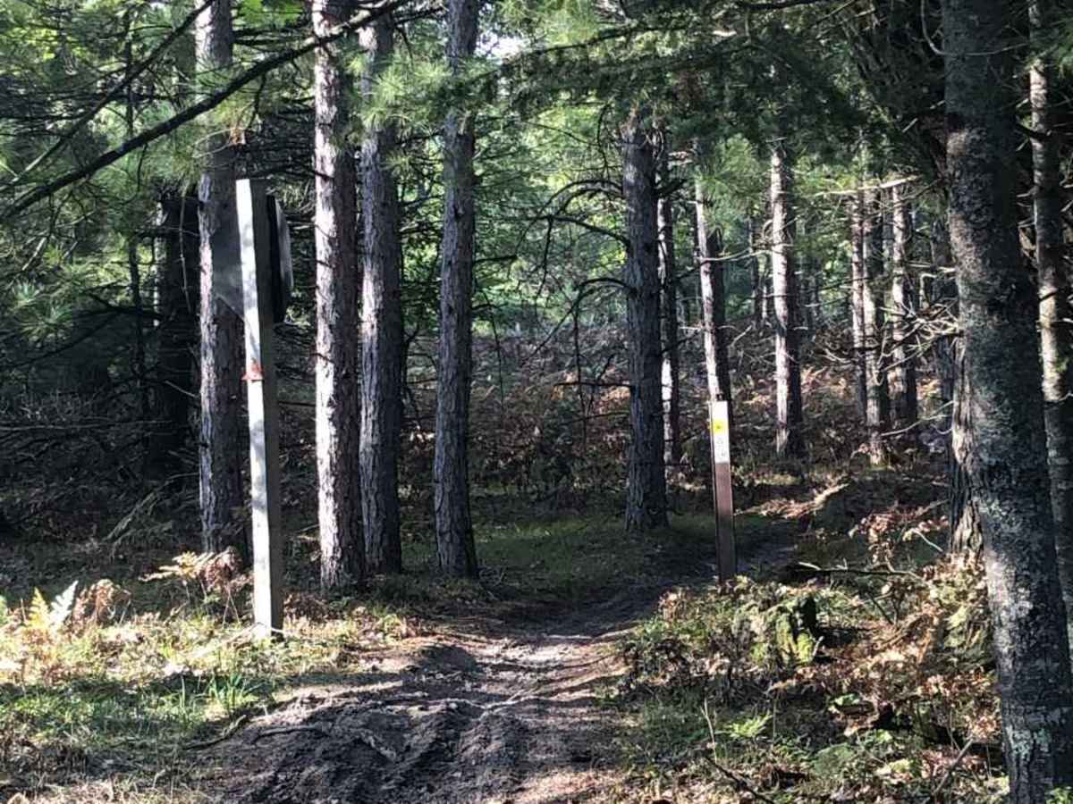 West Missaukee Trail Loop photo 3