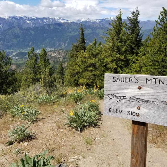 Near Sauer's Mountain