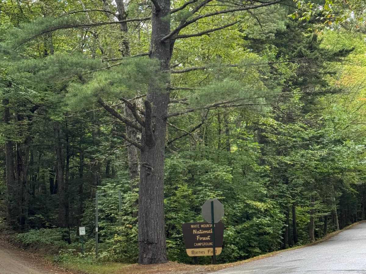 Pine Mountain Notch (Dolly Copp Rd) photo 3