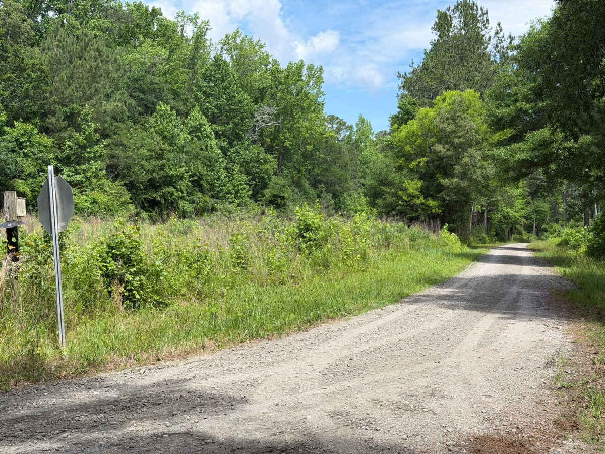 Gaddy Road trail photo