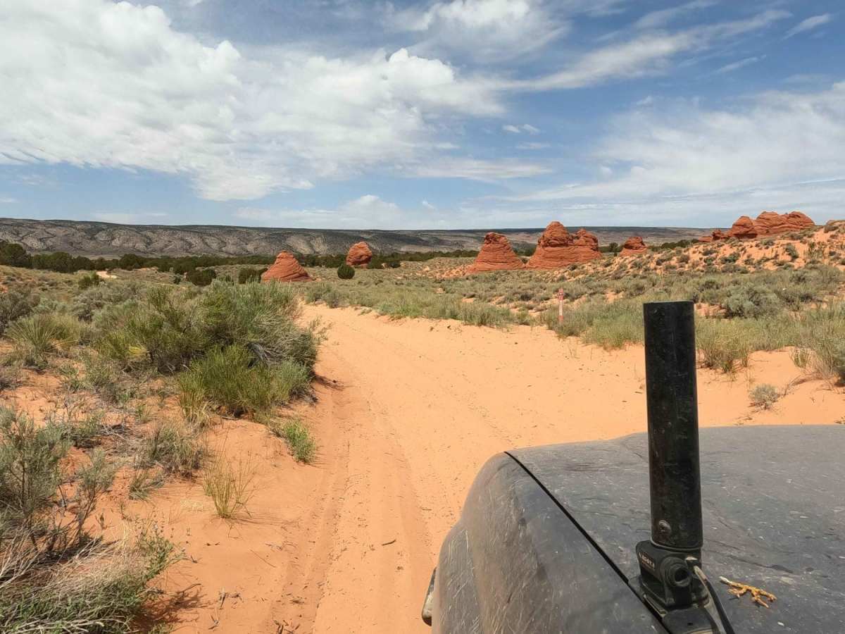 Paw Hole Road - NM1079 photo 5