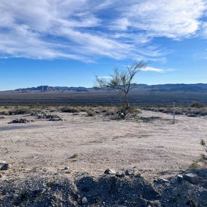 Near Lost Palms Canyon to Victory Palm Oasis