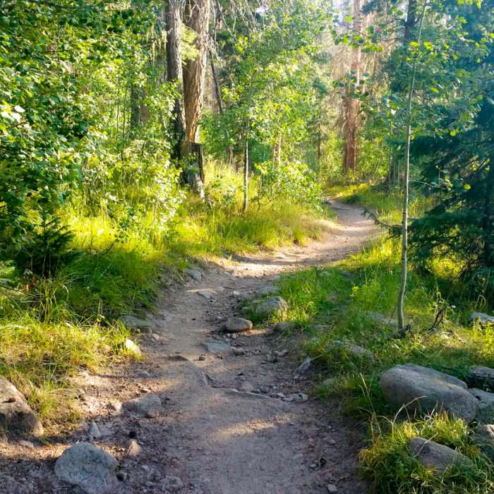 Near Four Mile Falls/Anderson Trail Loop