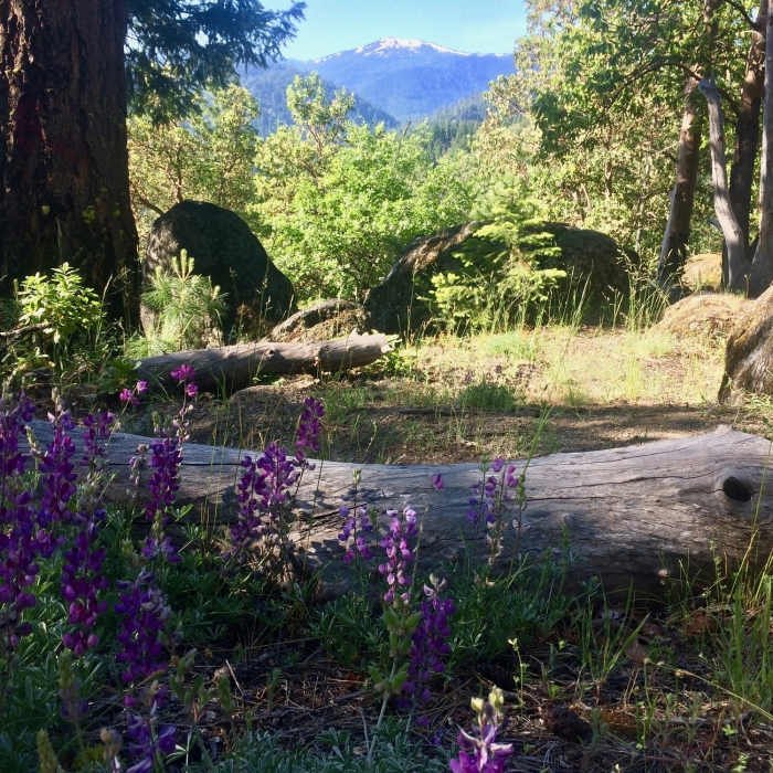 Near Upper Lithia Park: 2060 to Wonder Trail