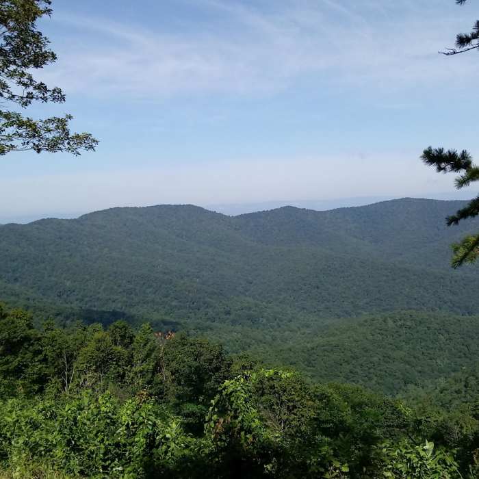 Near Big Run Loop Trail