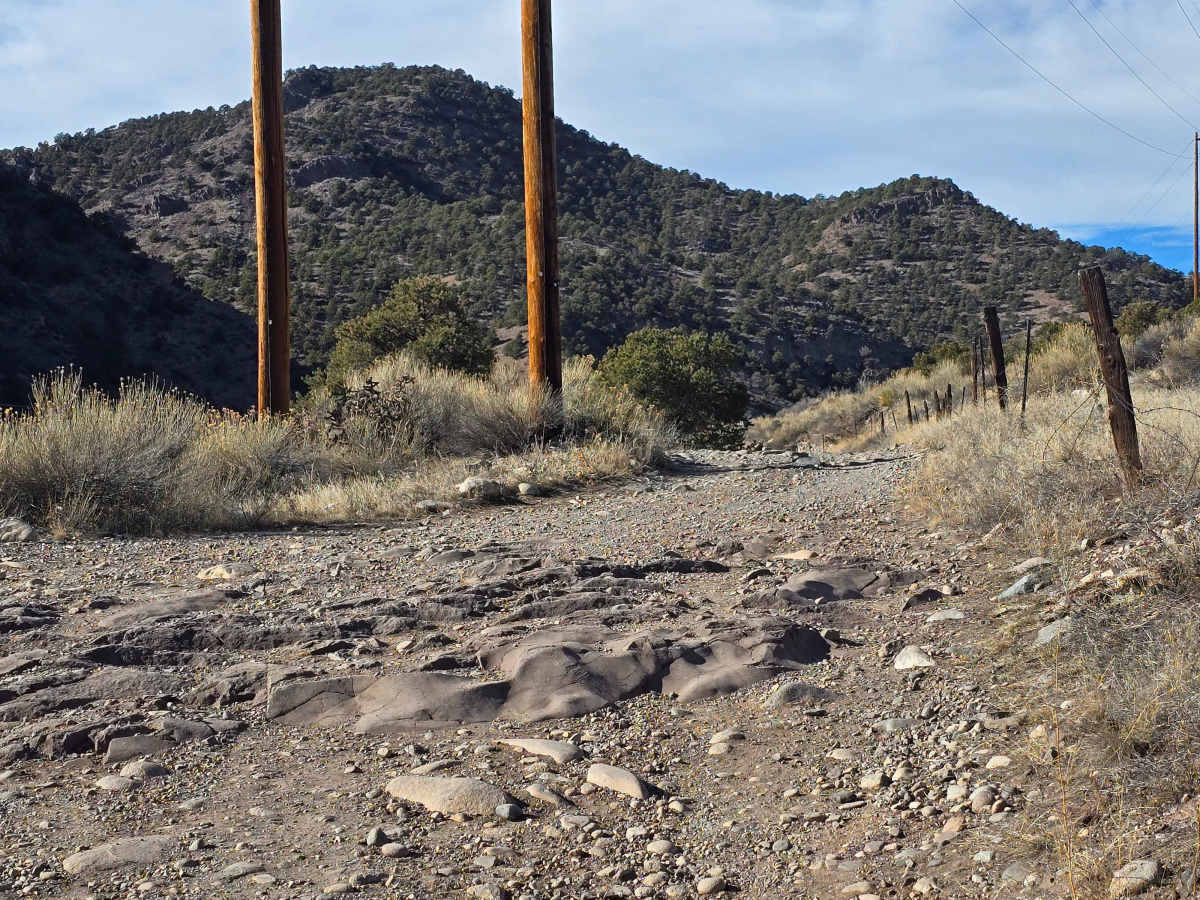 Lower Badger Creek photo 6