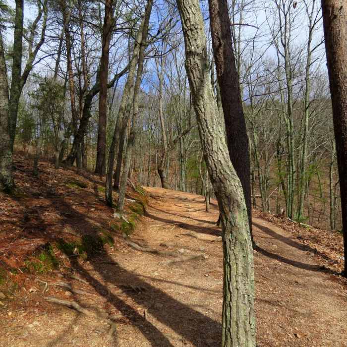 Near Indian Seats Loop
