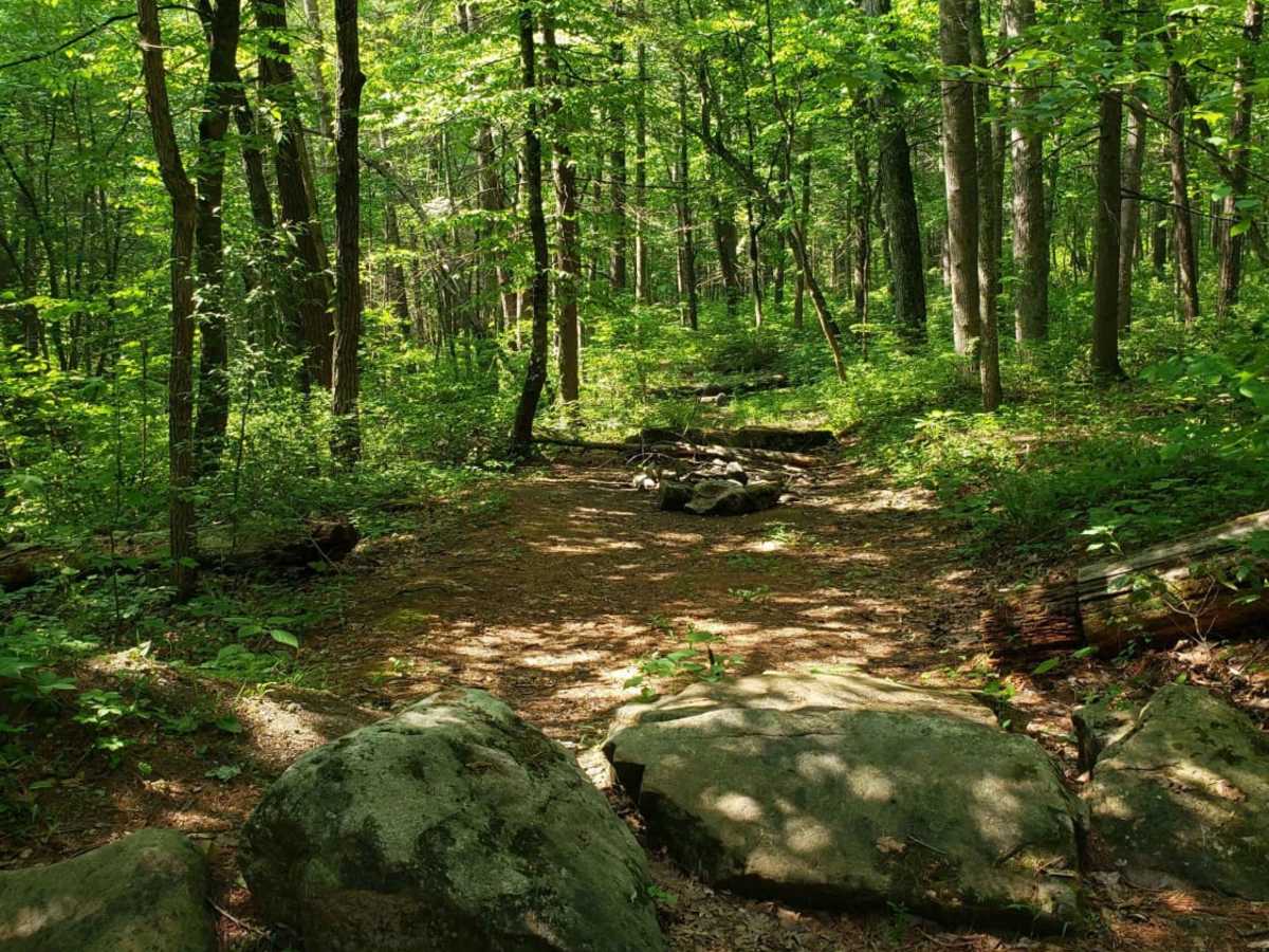 Cub Run trail photo