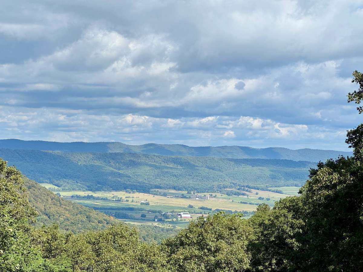 Blankley Road trail photo