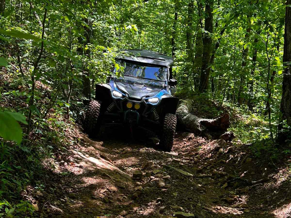 NFS 93052F trail photo