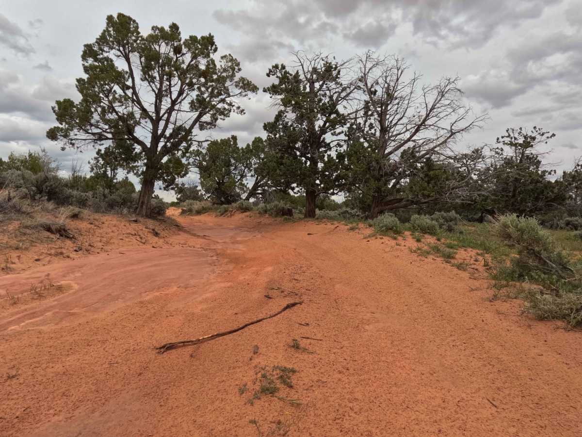 BLM 62 trail photo