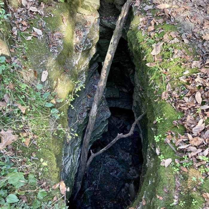 Near Hidden Springs Trail