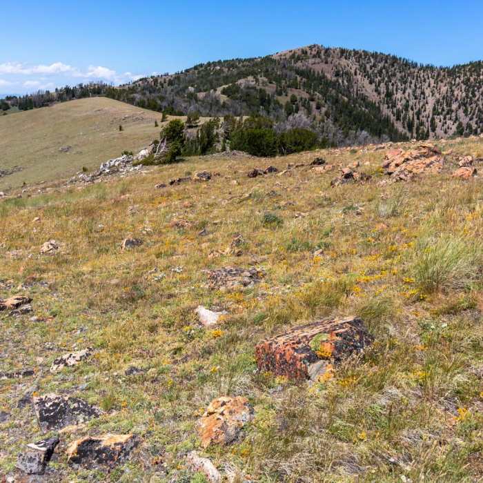 Near Ruby Peak Near Ruby Peak