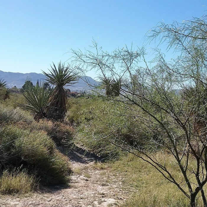 Near Arroyo Park Segment