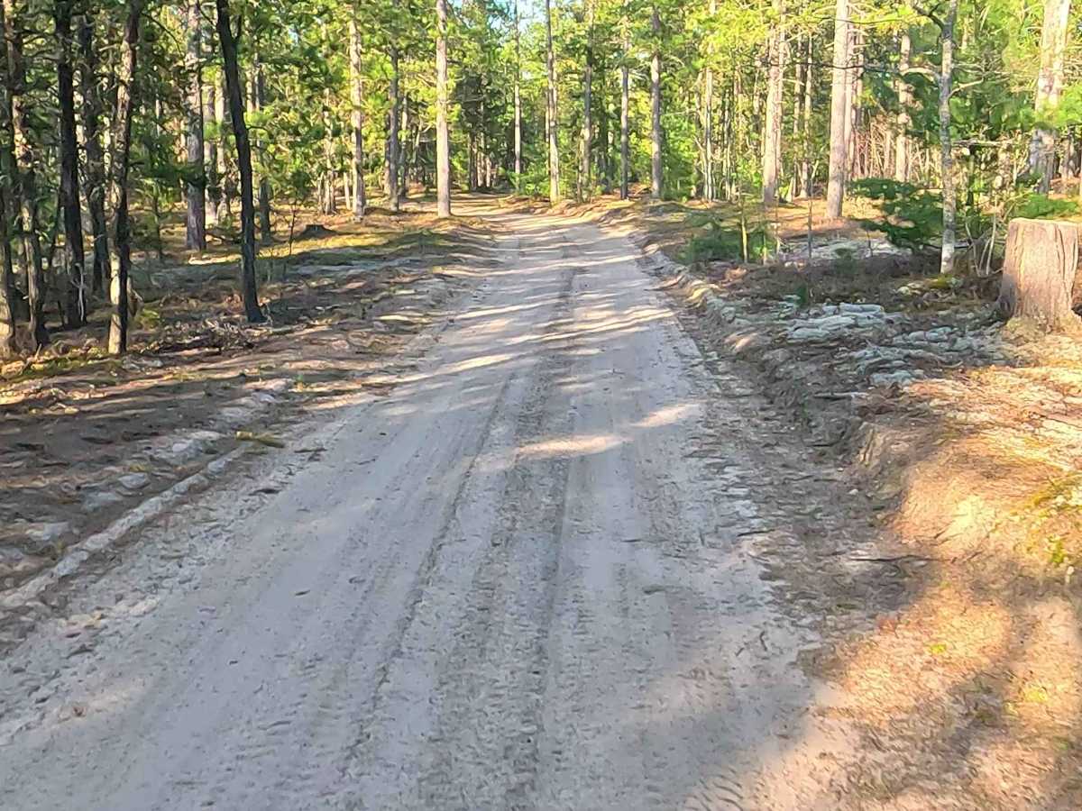North Wide Water Timber Loop photo 5