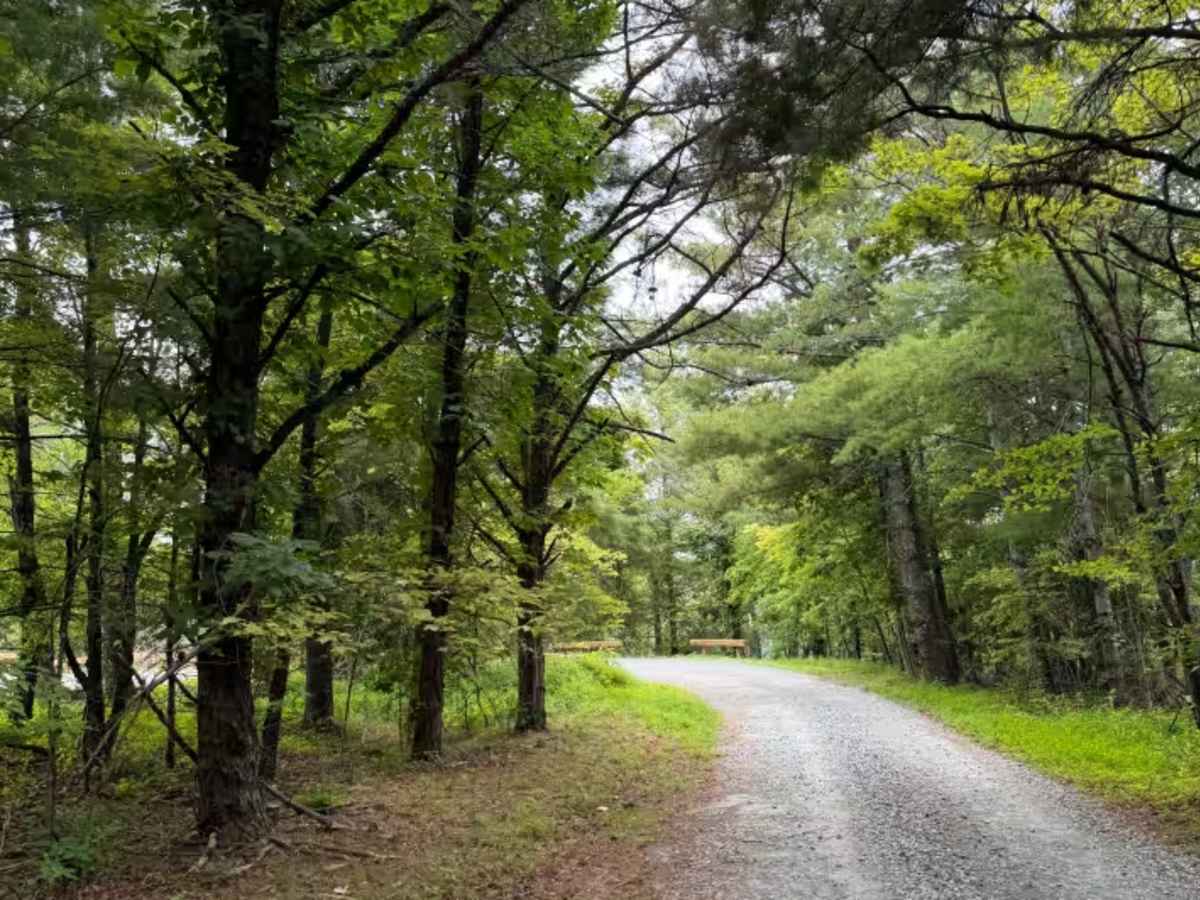 Wiseman’s View Road - FS 458 photo 5