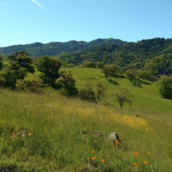 Near Rancho San Vicente Loop