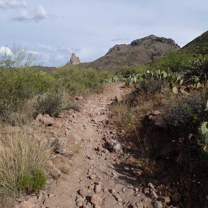 Near Dutchman Trail #104