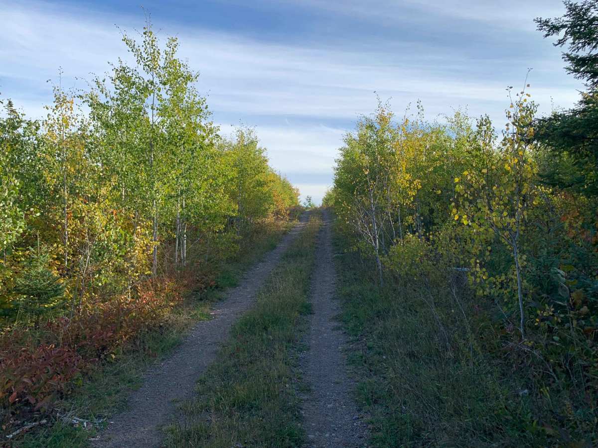 Frank Lake Trail - FS 1885 photo 4