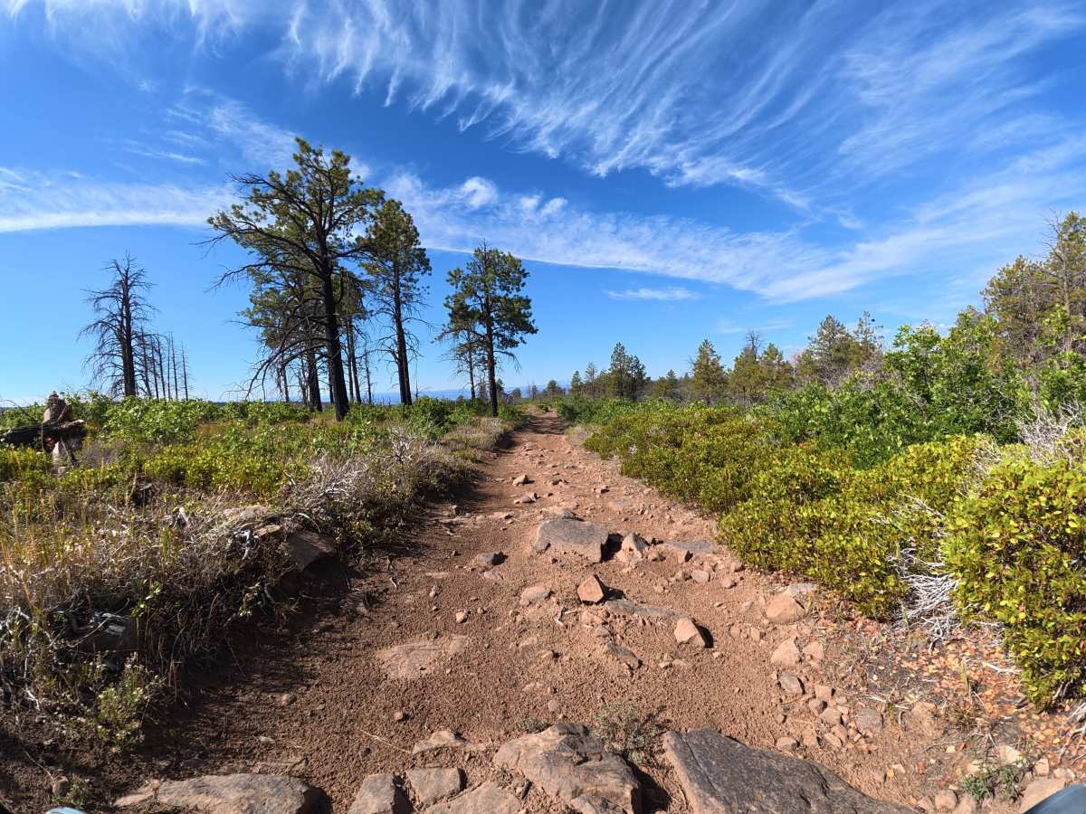 West Mesa Creek Road trail photo