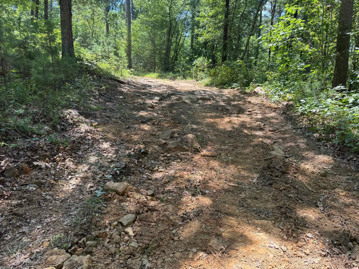 Napoleon knob photo 3