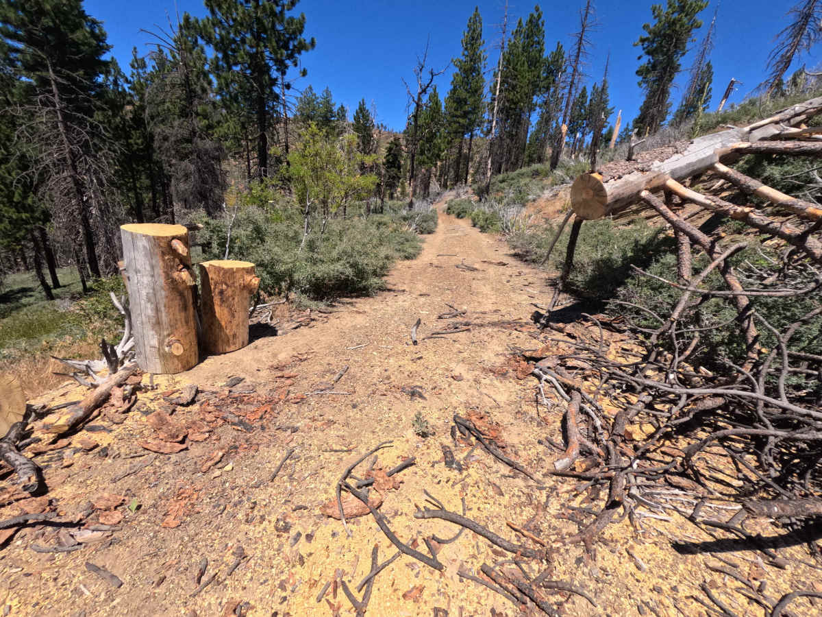 Brownell - FS 21N04 trail photo
