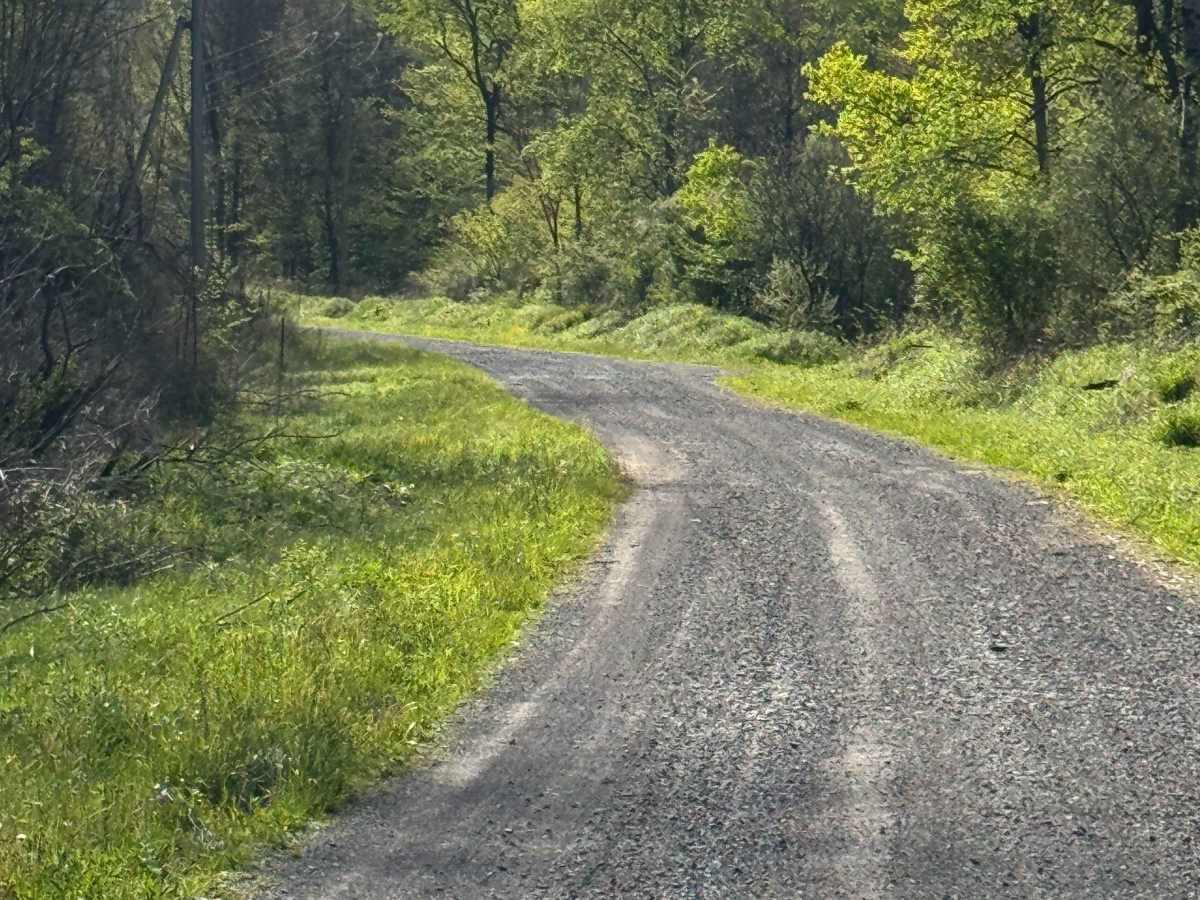 Bark Camp Road photo 6