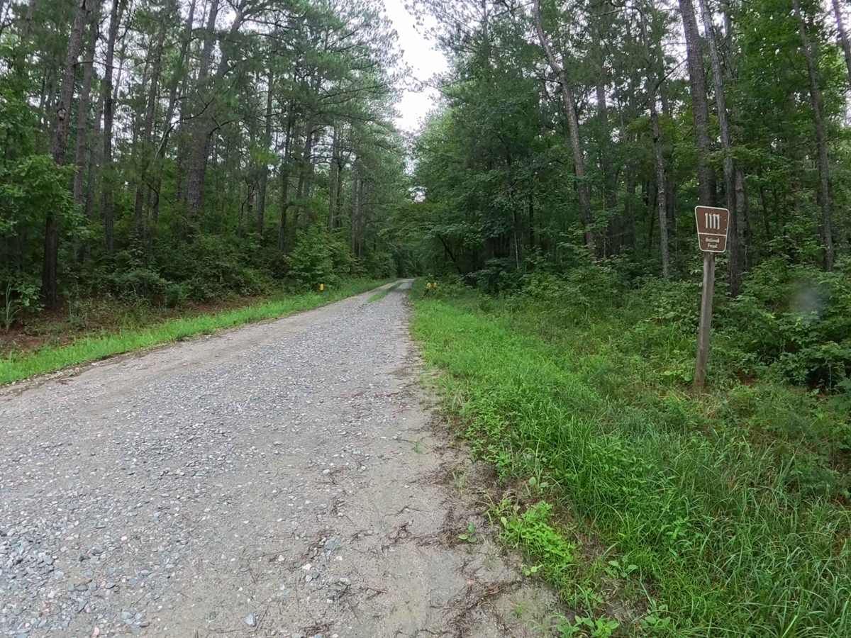 Harmon Rye - FS 1111 trail photo