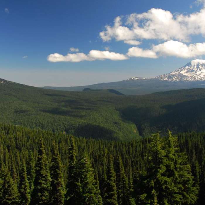 Near Nannie Peak Hike