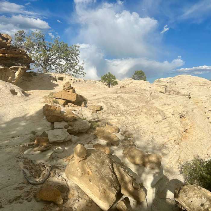 Near Continental Divide Trail: New Mexico Section 24