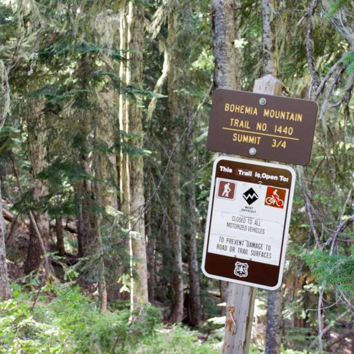 Near Bohemia Mountain Trail