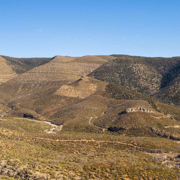 Near Griffith Shadow Loop